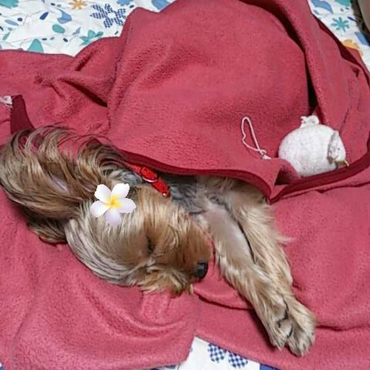 282a0582 0253 4473 8686 5927c4ec19b2