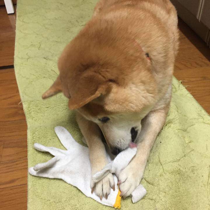 282a1c79 f13a 43ed 91f4 1f21f34e023c