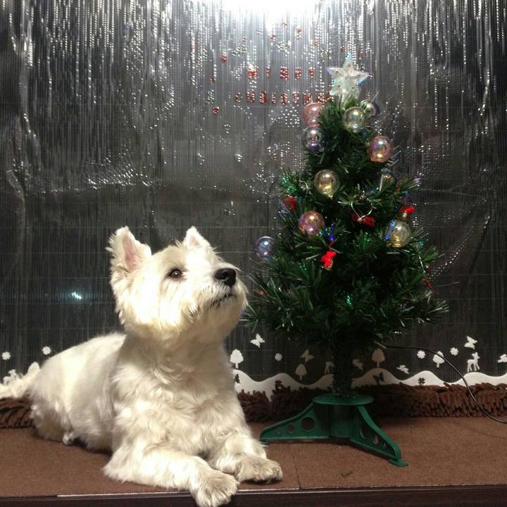 282a3e92 0ed7 4452 afeb 7080c7e7761b