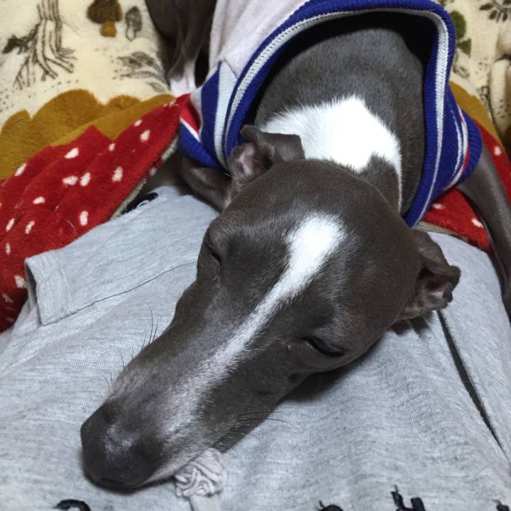 282a4a1d 8b1a 4cb4 bd60 8440a86ee281