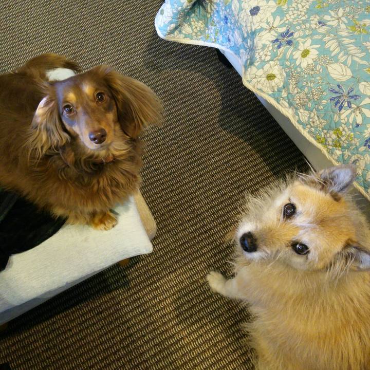 282aae1a 6b17 4b1d b7ec af89b8f9738d