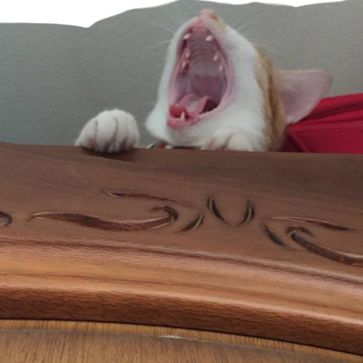 282ae9d4 038c 429f b08d ff8e2c34b9af