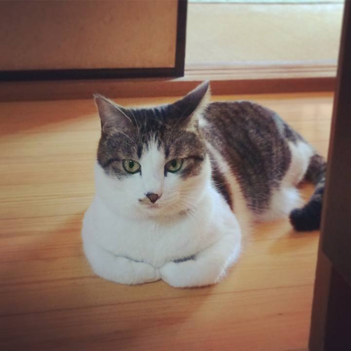 282b1439 4186 48f7 a06e 8e029cb54de2