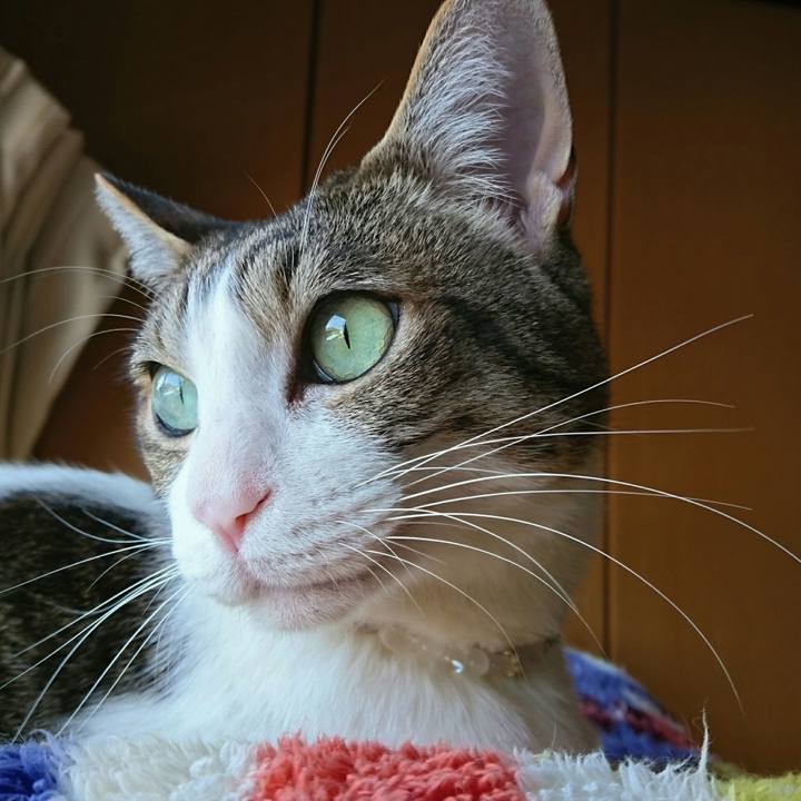 282b6a0a 57c2 4488 8c9f 7ae1bda73165