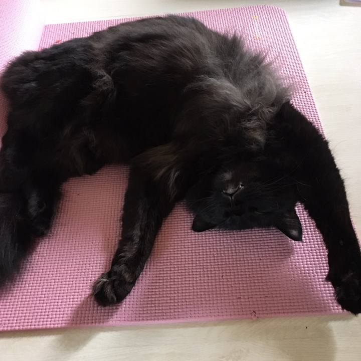 282bcbe1 7099 4fb5 a971 b33a2e8e4c94