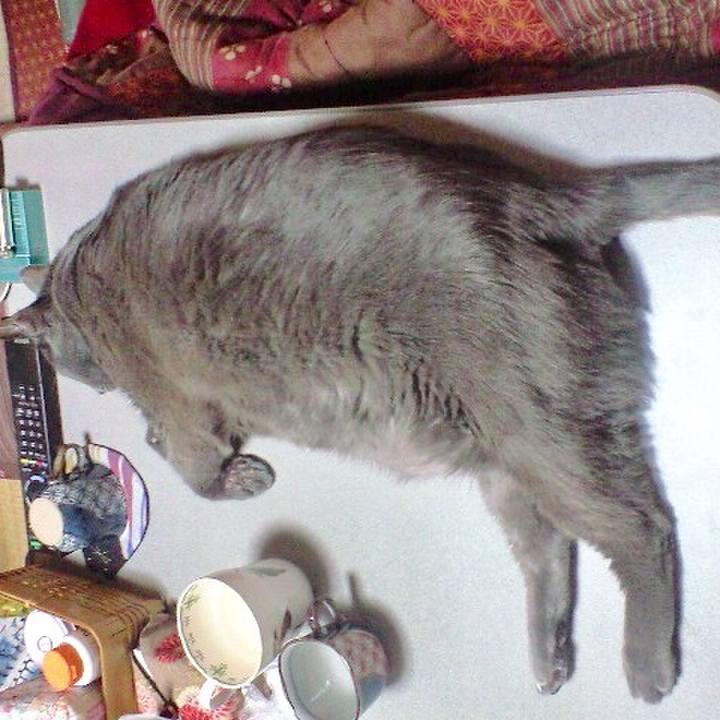 282bd22e d681 4466 952f 379be8109742