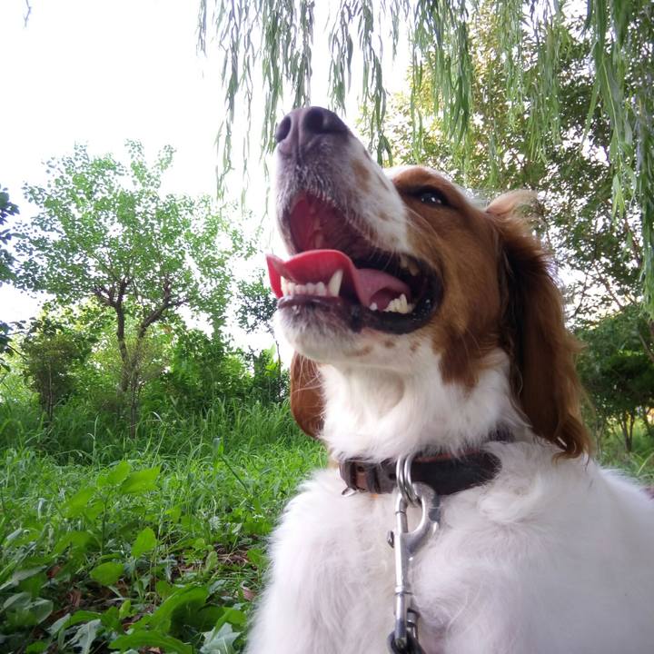 282d4ff2 195e 4009 84fe 9ea25cdcfd0c