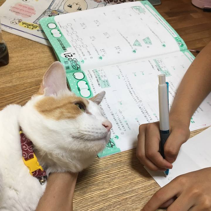 282df7d0 cafd 477a 8a6b ae8fbfae3374