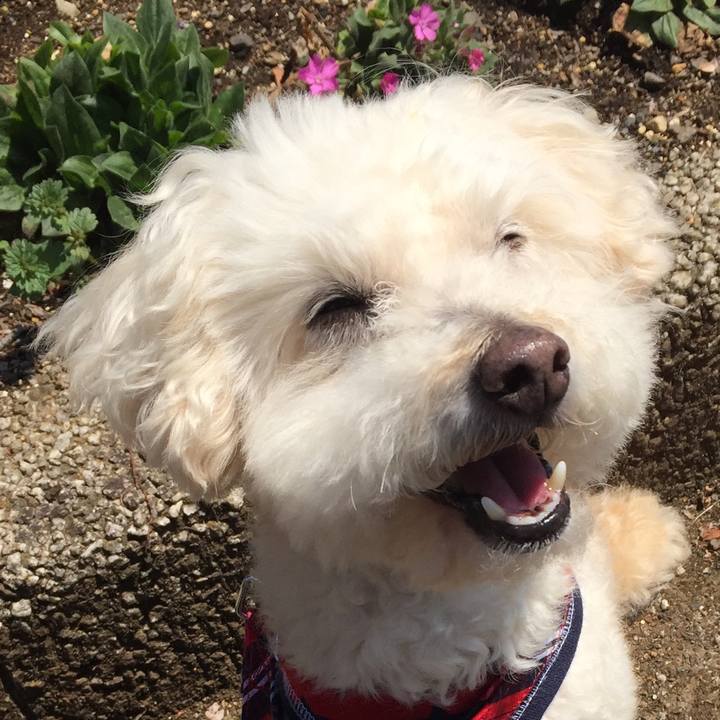 282e1b8f a6df 4227 b45f 9e64f70ea00f