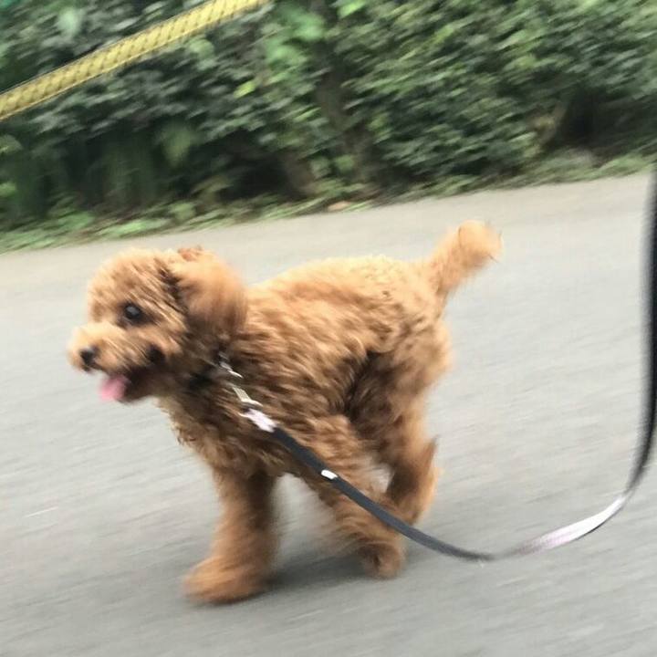 282f4e14 4645 4f1c b1aa d679d2d3ec3e