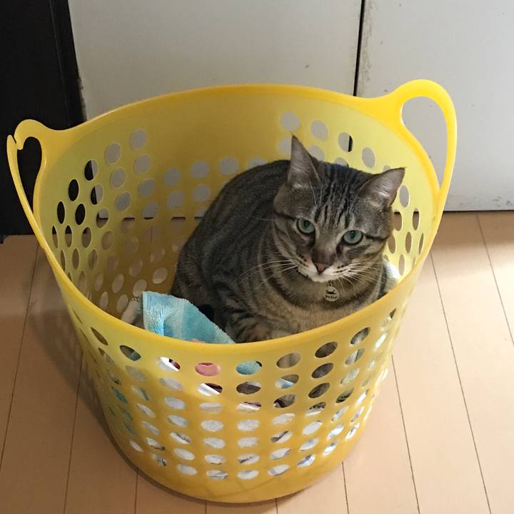 2830988a 2821 4c17 adc6 3ad6306f4deb