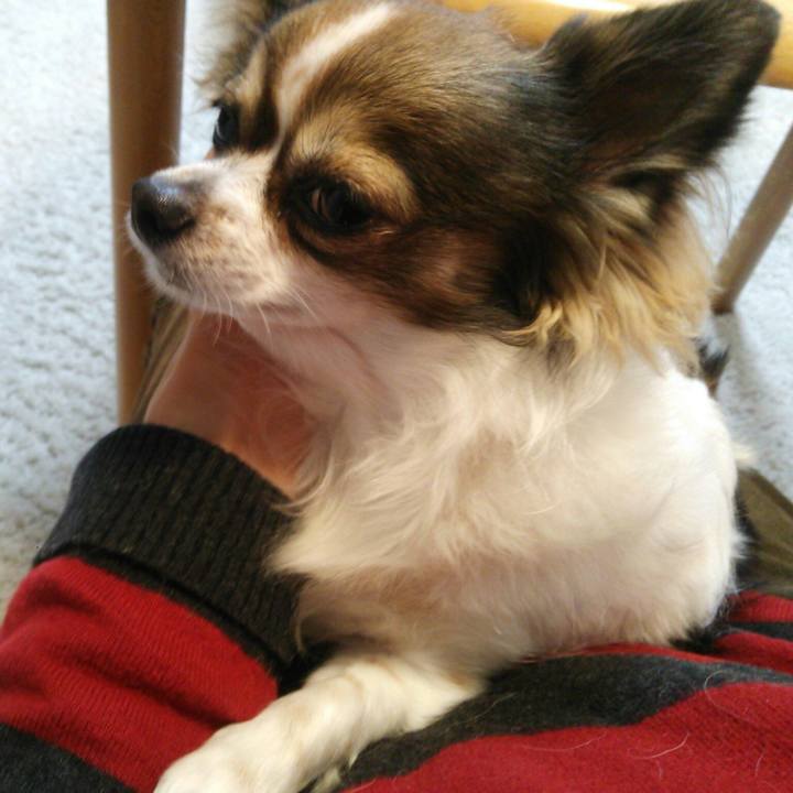 2830b6dd 06ca 4c15 bd8b 770c1179bc2a