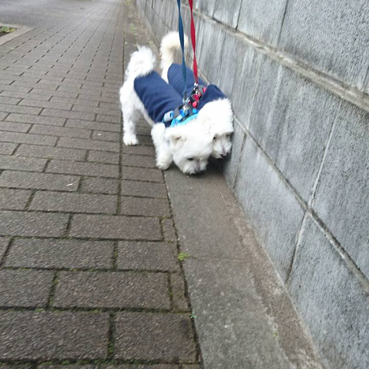 283131ec 39ac 4ea0 8372 f95eae12da30