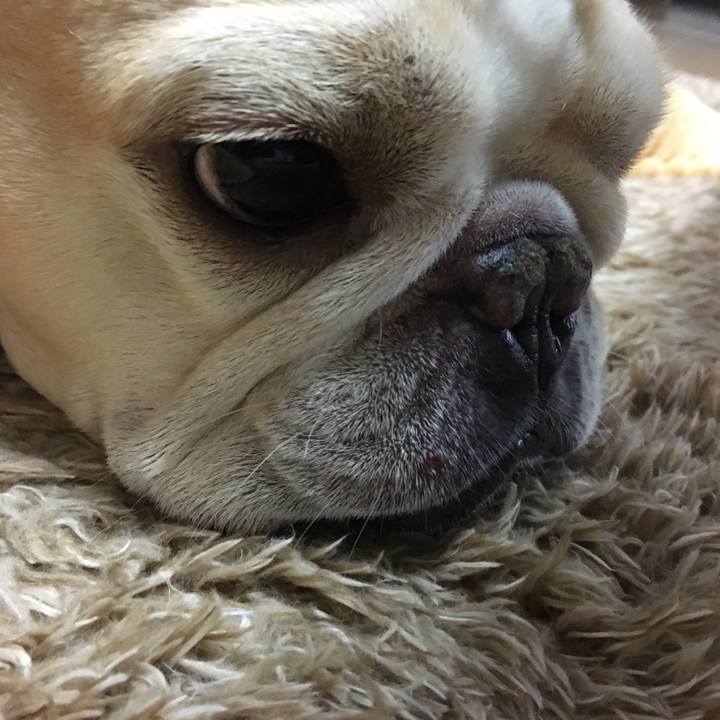 283200eb a4b1 4025 91a2 232421a58808