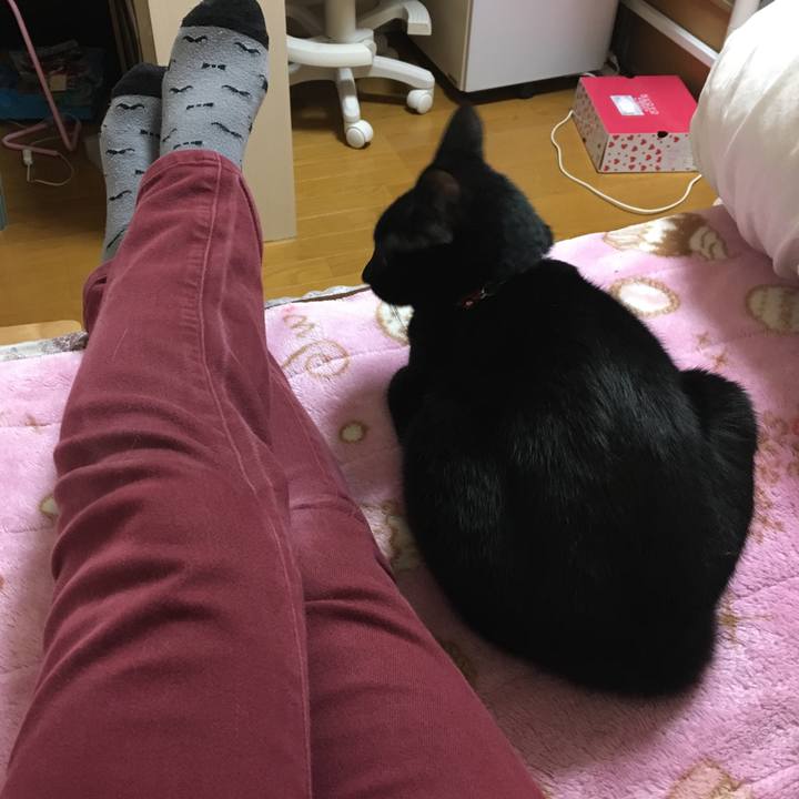 283203cf 75ba 48ef 8f48 9ae652cf24bf