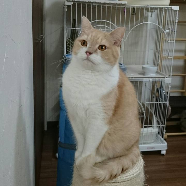 28325736 167b 4d8e be50 35a460a86ff1