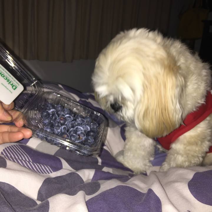 2832ee3c 9c06 4e0a 9d88 8ec66e3a5d4a