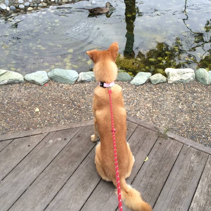 28338817 bc28 4267 87a5 f1c246e873a7