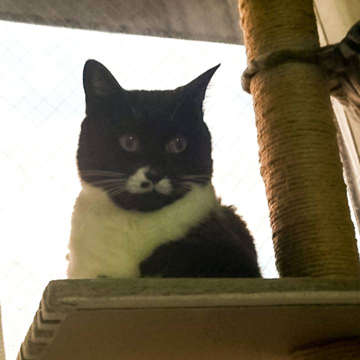 2833aba4 9a8f 4726 a97c a18a41099ad6