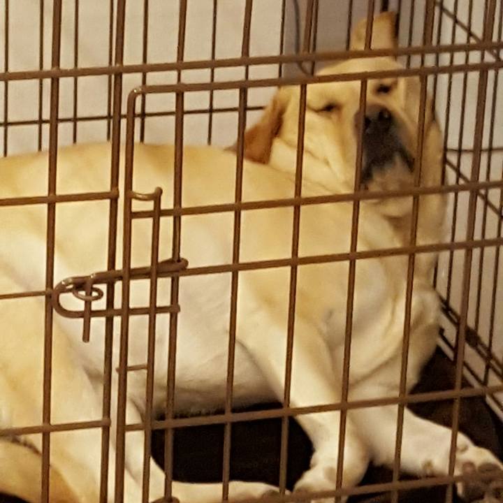 2833c0fe 416d 4246 a724 c7be1bb5dc14