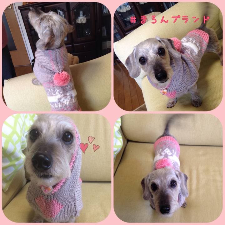 2833c297 e2c1 429b 93ac dfeaa47460df