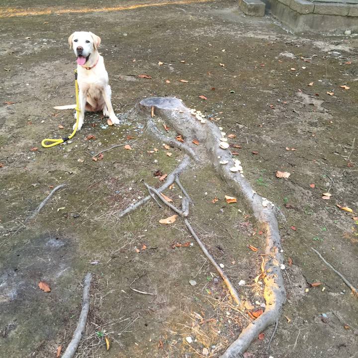 2833ee7b 75e6 48a1 87d5 316accd47f09