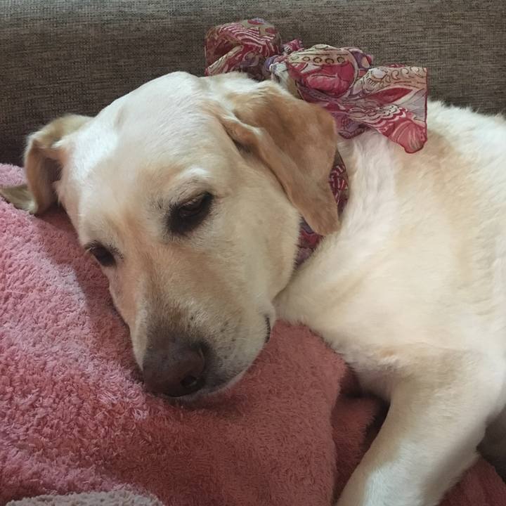 2834443c 892b 4d38 ac5e a14970ba07ea