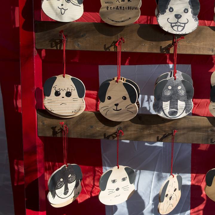 28346801 f51c 4d94 8563 38b9d675d847