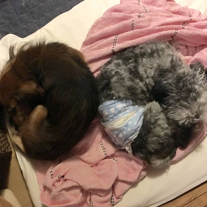 28360d52 5d4f 4f62 ae5a 40309b25483e