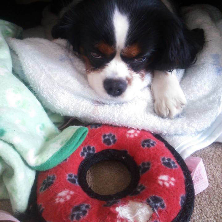 2836c905 a1b0 497e b21b 693e73aee546