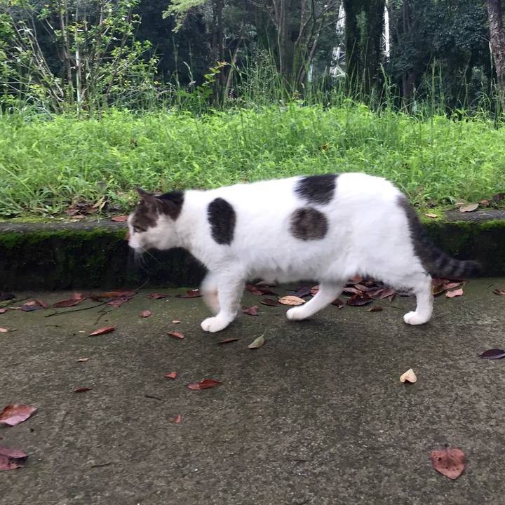 2837c56b 8009 474f aa29 da8368d179e4