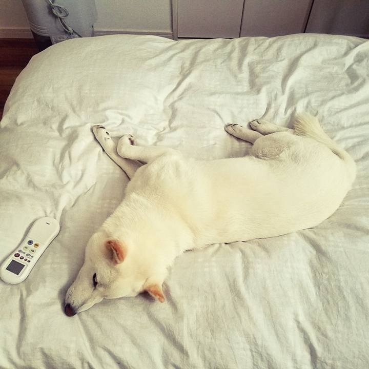 283833d8 bb7b 48e3 ab2d 78985e029ad8