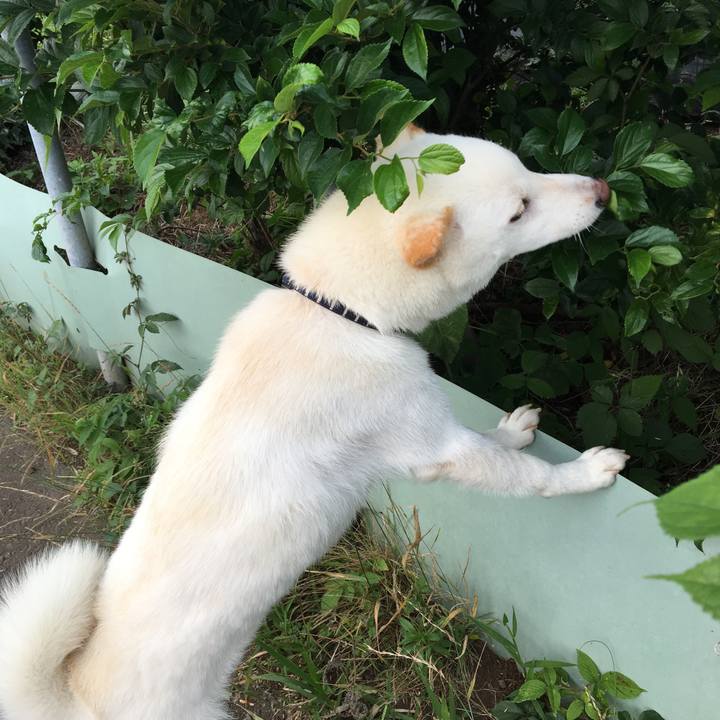 2838526a 9945 48f5 9ad4 0af299cff3ea