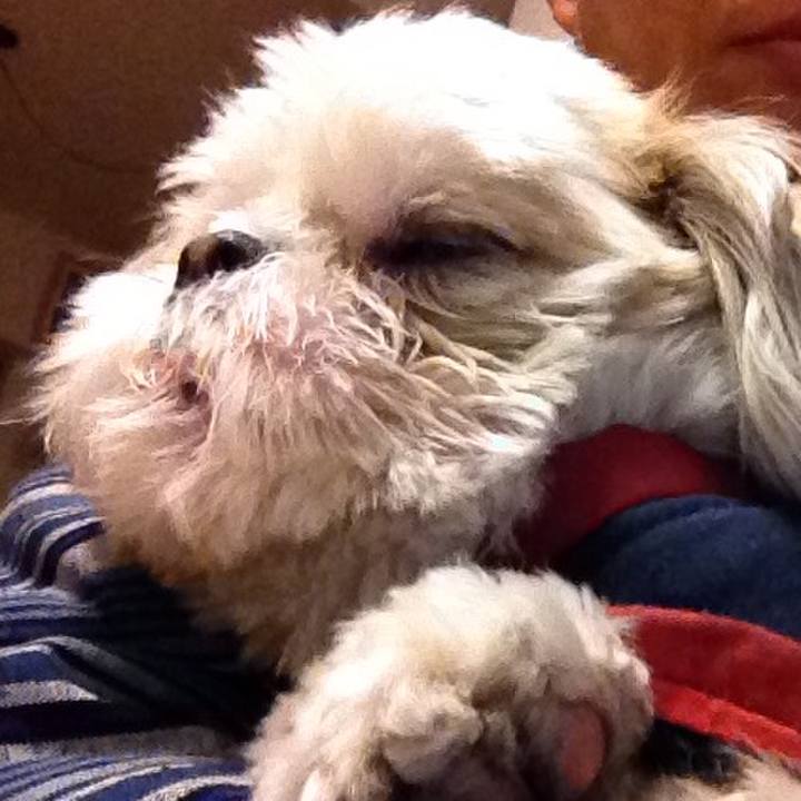 283858d4 e912 42b5 801b 8e3380681561