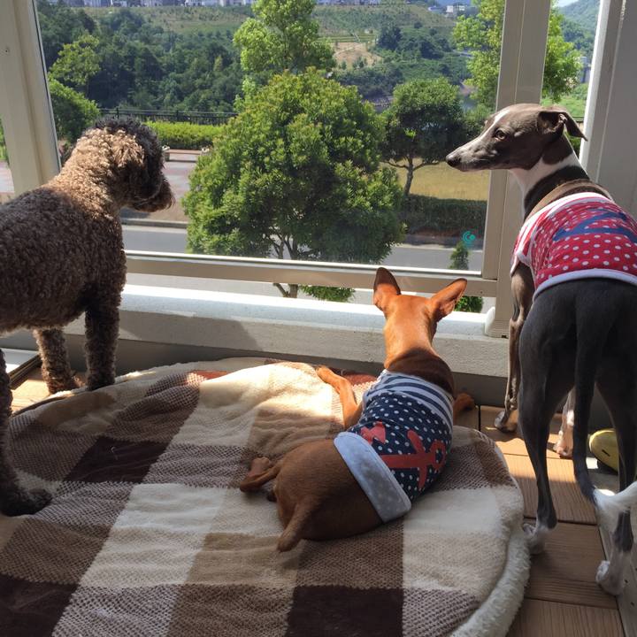 28397b02 8ef7 45ca 9879 1f05009fcf34