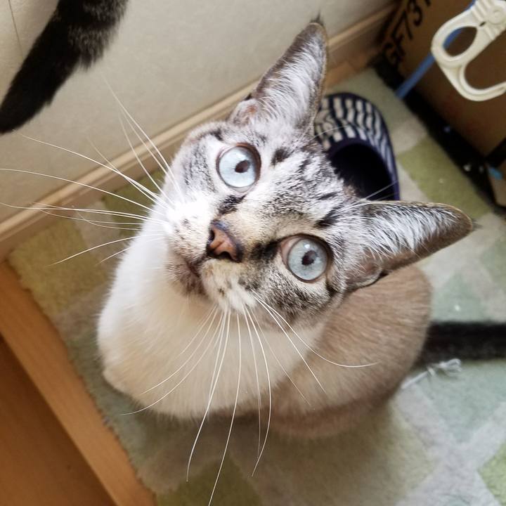 283a4bd8 93d8 4fbe be5a 0e3a26e9084c