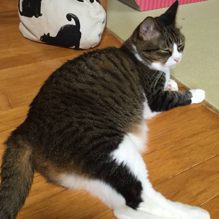 283a6889 0a1d 4def b81e edfdb1bb6ecd