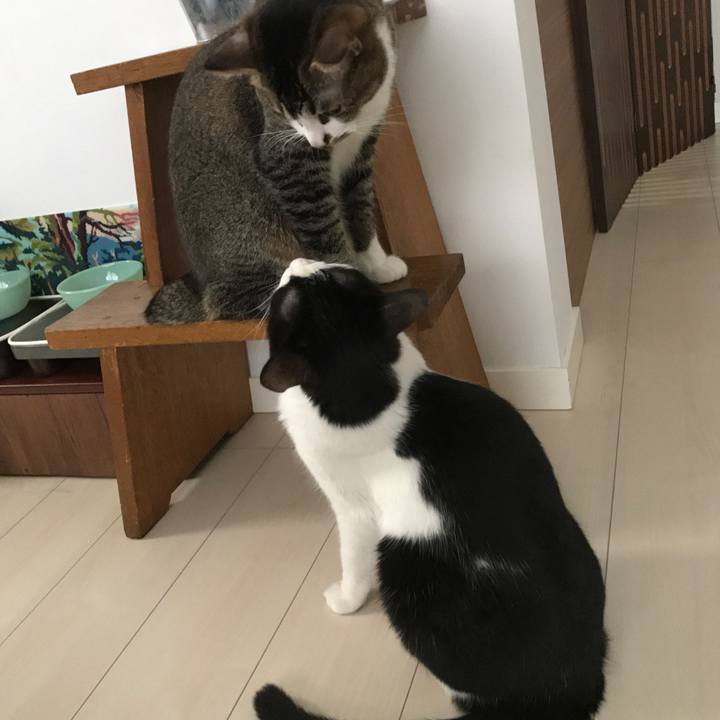 283a78ad 6ef3 4abd 9c76 5d9079dee9bd