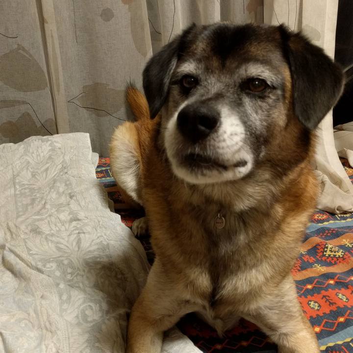 283b0f09 2dd0 440b 9cd8 534d696b457b