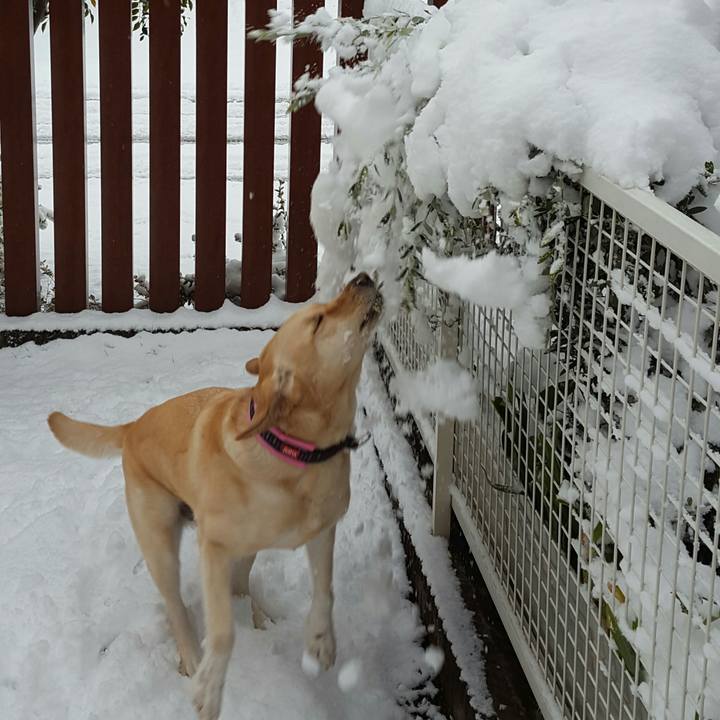 283b767e e778 4972 af9b 5cb0bd275d0d