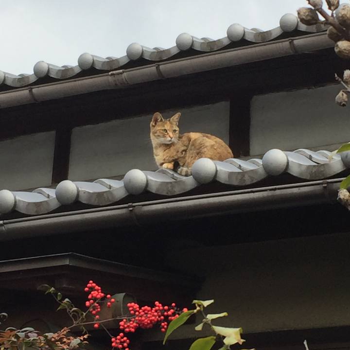 283b90b8 72e2 4038 9401 f6e99a11bbe3