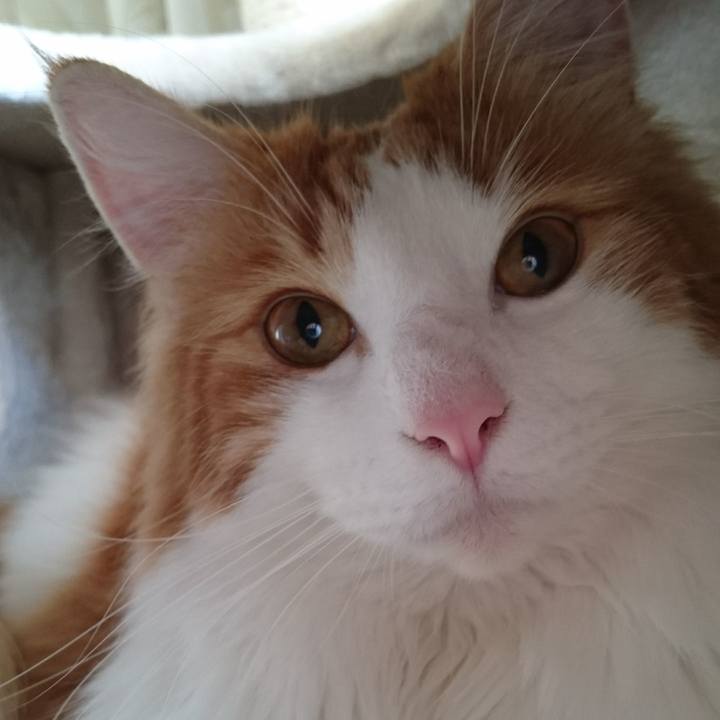 283ba9ea d1f8 4ea0 a7a1 ef11bc6128ea