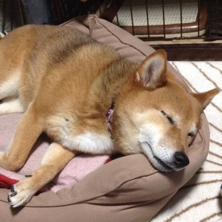 283bc839 e421 487e a805 9a3f83326a46