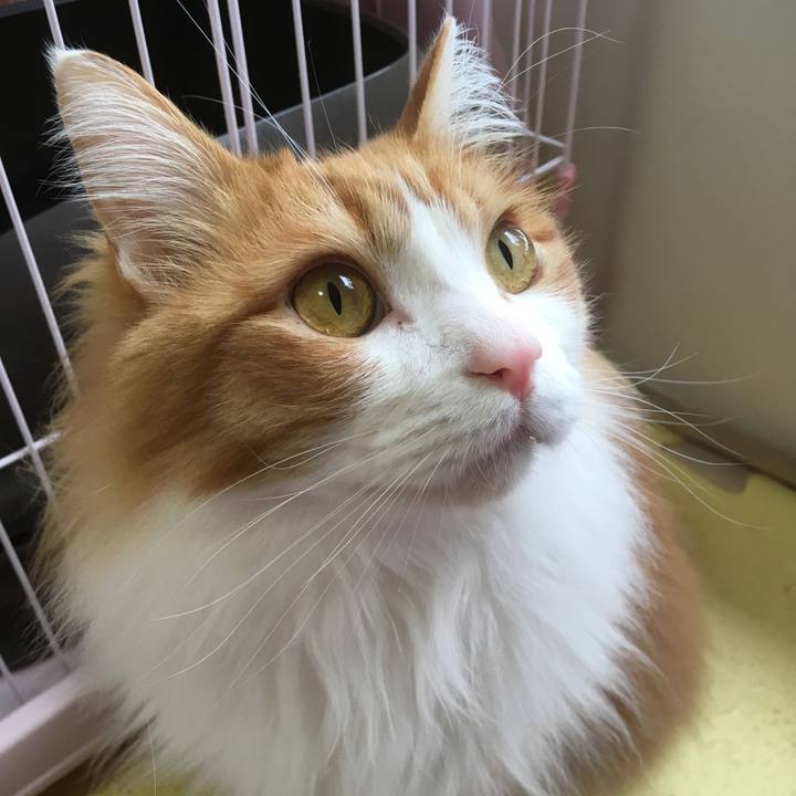 283c1338 5ff5 410b 821a bfb7fb5dce44