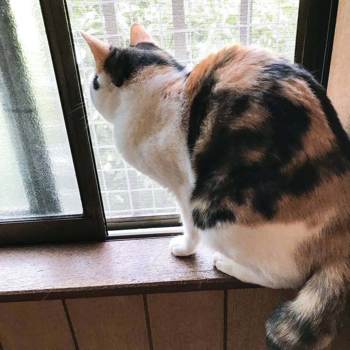 283c3241 40df 406d 9b5a d7521cc4955a