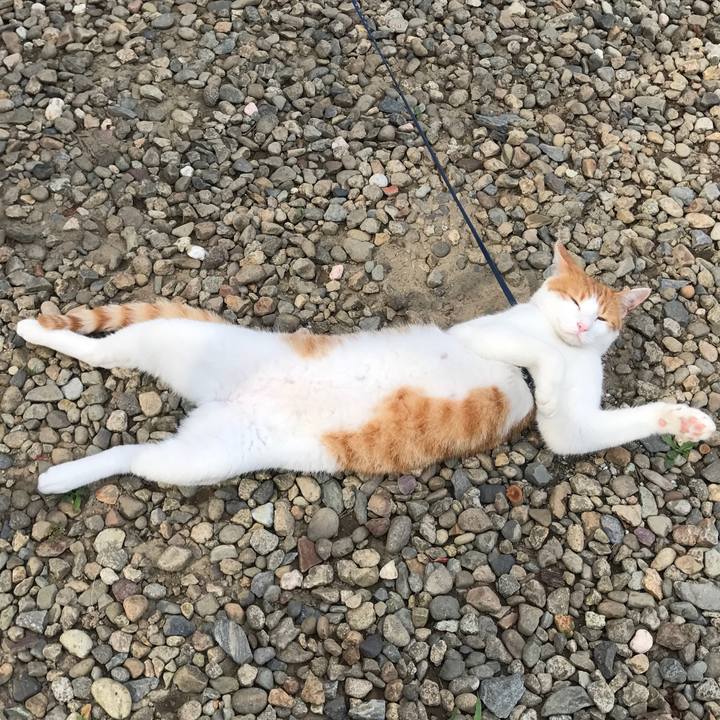 283c8762 f6c8 4eb1 9b2d 9db0f723f1ed