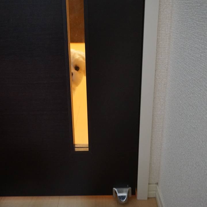 283cf47d 46b5 4045 94a5 2fe0e8ff7067