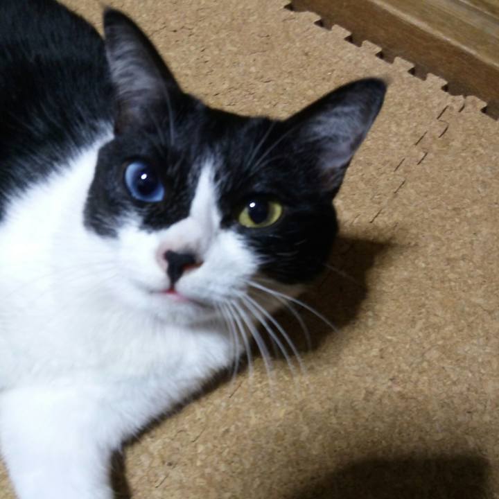 283dd84a 43ac 491a ba3e 8f6aa7ebebbe