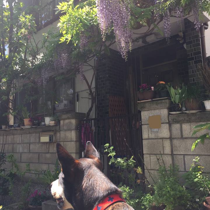 283e2a2c 59cd 4432 a143 0f828f833908