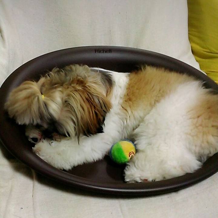 283e3fa4 1cd8 43c1 a688 a39221a07726